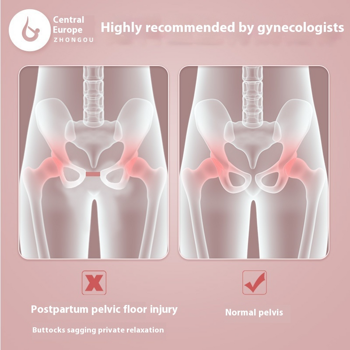Pelvic Floor Muscle Trainer